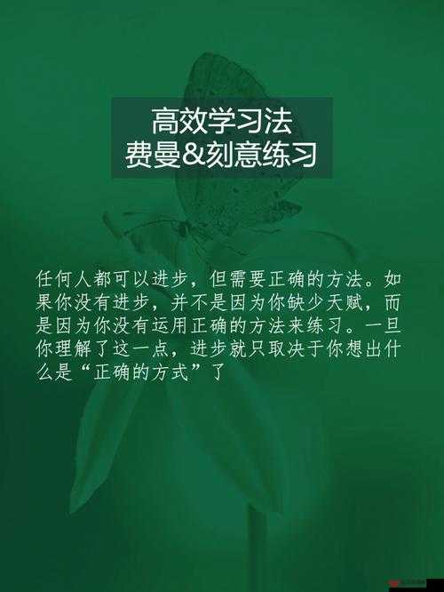 亮晶晶闪闪王国Mantara，01他者任务流程攻略详解及其在资源高效管理中的重要性策略